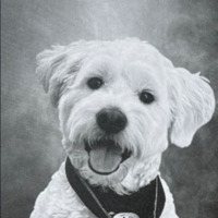 pzewx5n7jdexx profile pic