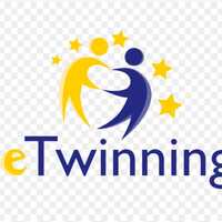 serapybilgic profile pic