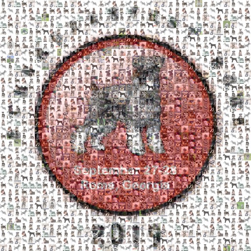 Schnauzerfest Rome Photo Mosaic Mosaically®