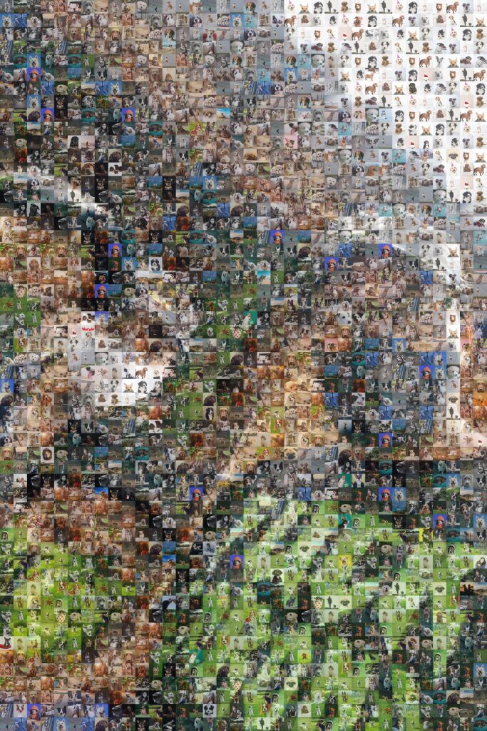 MosaicImg