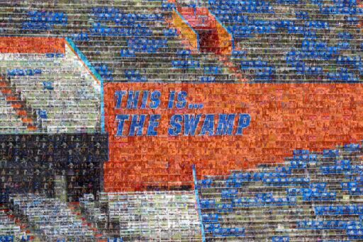 Gator Game Faces by katiepark