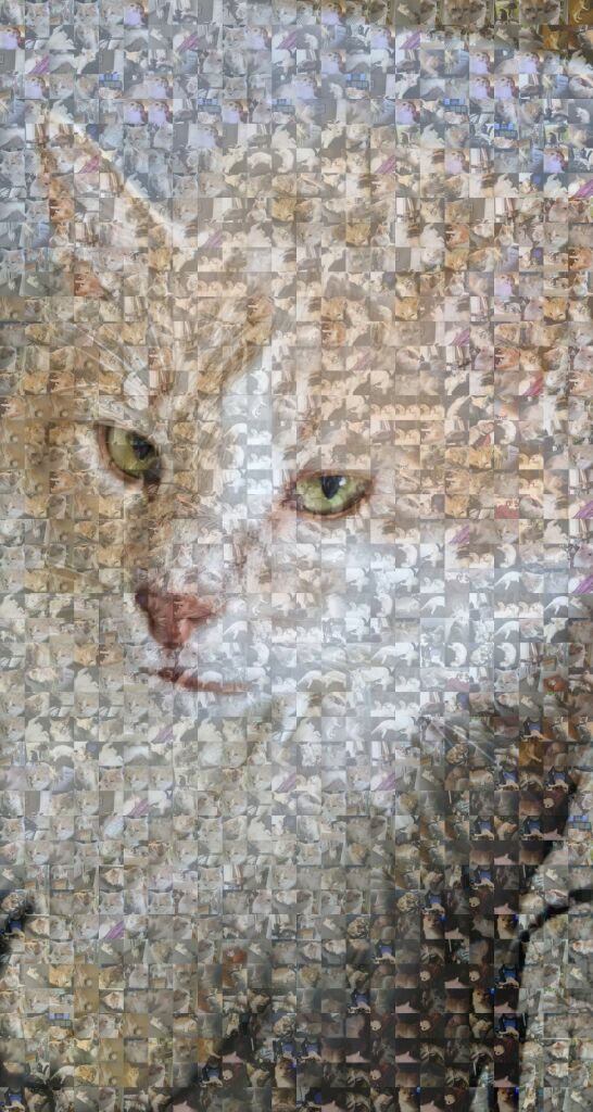 MosaicImg